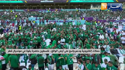 حملات إلكترونية ودعم راسع على أرض الواقع.. فلسطين حاضرة بقوة في مونديال قطر