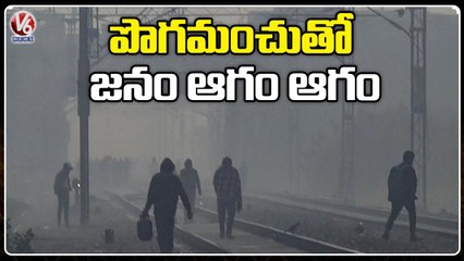 Public Face Problems With Fog , Adilabad Records Lowest Temperature _ V6 News
