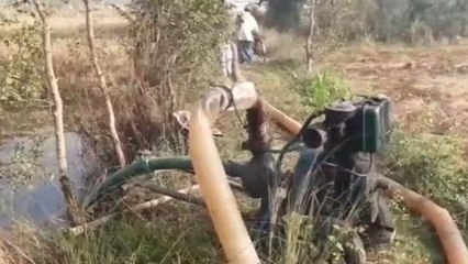 देवरिया: धान के खेतों में पानी लगने से किसान हुए मायूस, कही ये बात
