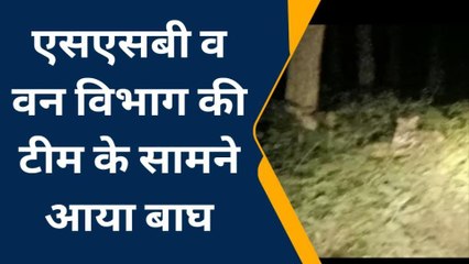 बहराइच: वन विभाग की टीम के सामने आया बाघ, देखिए पूरी खबर