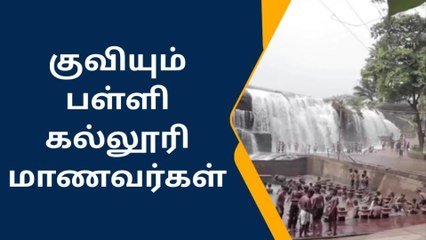 குமரி : அருவியில் குவியும் பள்ளி கல்லூரி மாணவர்கள்