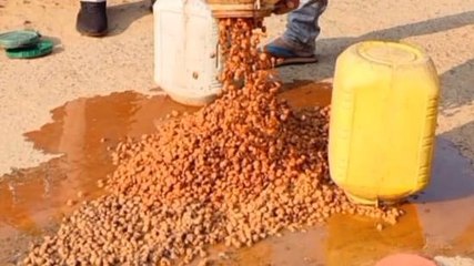 सीधी : कोतवाली पुलिस ने की बड़ी कार्रवाई, देखिए ये रिपोर्ट