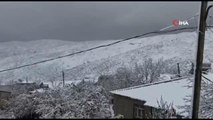 Bitlis'te kar yağışı oldu, dağ köyleri beyaza büründü