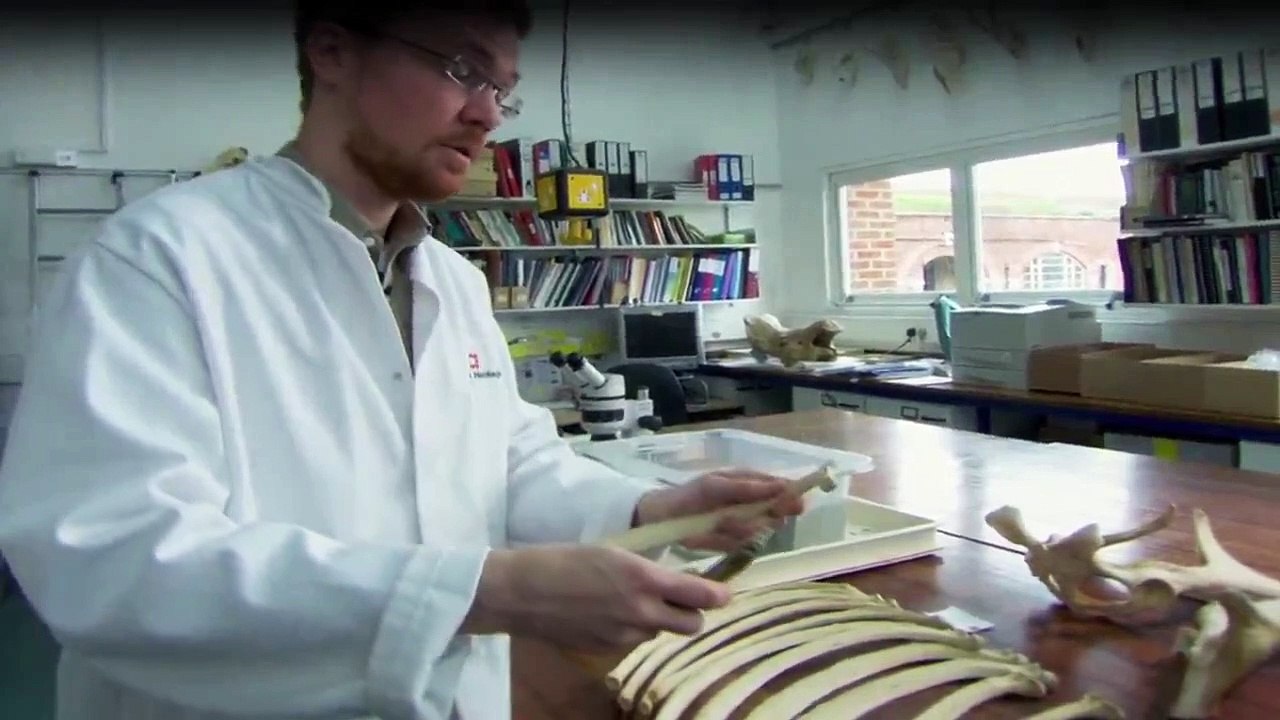 Versunken - Tod im Atlantik Staffel 1 Folge 2 HD Deutsch