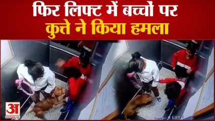 Noida : The Golden Palm Society की लिफ्ट में कुत्ते ने बच्ची पर किया हमला, मामला CCTV कैमरे में कैद