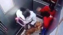 नोएडा : सोसायटी की लिफ्ट में दो बच्चों पर कुत्ते ने किया हमला, जांच में जुटी पुलिस