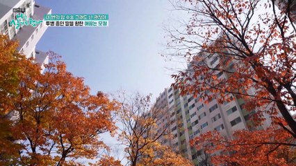 동안을 위한 퀴즈 피부 건강에 관한 진실 혹은 거짓 TV CHOSUN 20221127 방송