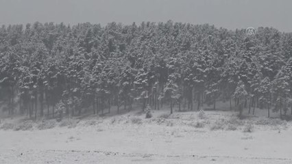 Kar yağışı ve sis etkili oldu