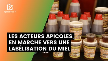 Burkina Faso : Les acteurs apicoles, en marche vers une labélisation du miel