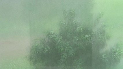 '안개 작가' 이기봉, 허상 속 실상 찾기...10여 년 만에 개인전 / YTN