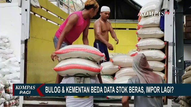 Bulog dan Kementerian Pertanian Punya Data Berbeda Soal Stok Beras, Jadi Stok Aman atau Impor?