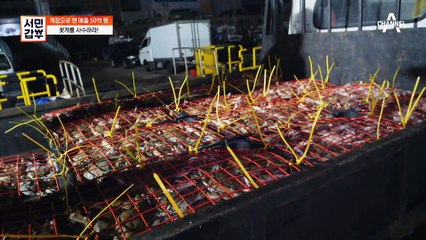 꽃게 2t을 사수하라!신선도를 위해 싱싱할 때 급냉시키는 갑부