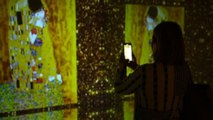 Dentro l'arte di Klimt per allargare il pubblico della cultura