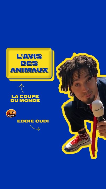 L'avis des animaux sur la Coupe du Monde au Qatar