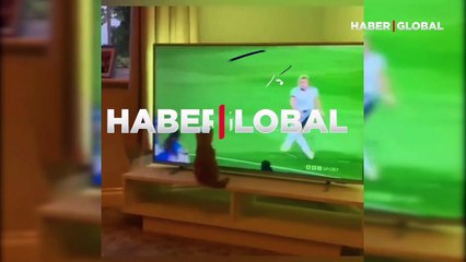 Kaleciyle aynı yöne uçan kedinin görüntüleri izlenme rekoru kırdı