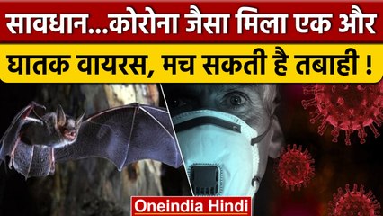 China में मिला Corona Virus जैसा ही खतरनाक वायरस | वनइंडिया हिंदी | *International