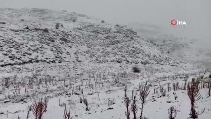 Malatya'da kent merkezinde yağmur yüksek kesimlerde kar yağışı
