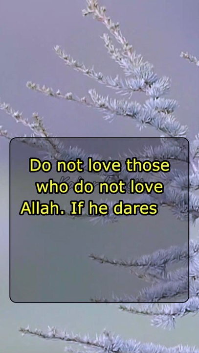 Never Love Someone Like This