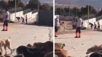 Barınak vahşetinde 2. gün: Girişler kapatıldı