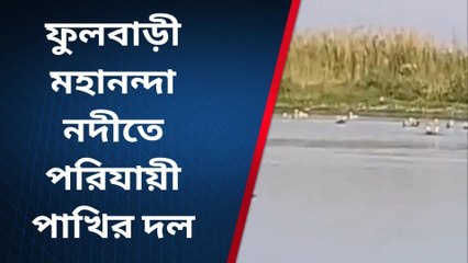 জলপাইগুড়ি: ভয়াবহ দৃশ্য তিস্তা নদীতে !দিকে দিকে পর্যটকদের আর্তনাদ !দেখুন