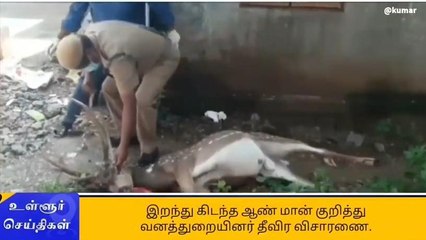 மர்மமாக இறந்து கிடந்த மான் - வனத்துறையினர் விசாரணை