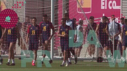 Spain v Germany: Spain to inflict more German pain?