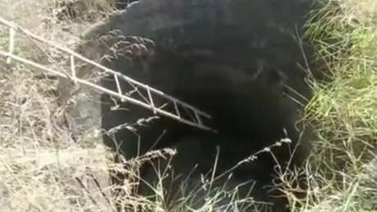 हरदा: कुएं में गिरे तेंदुए का वन विभाग ने किया रेस्क्यू