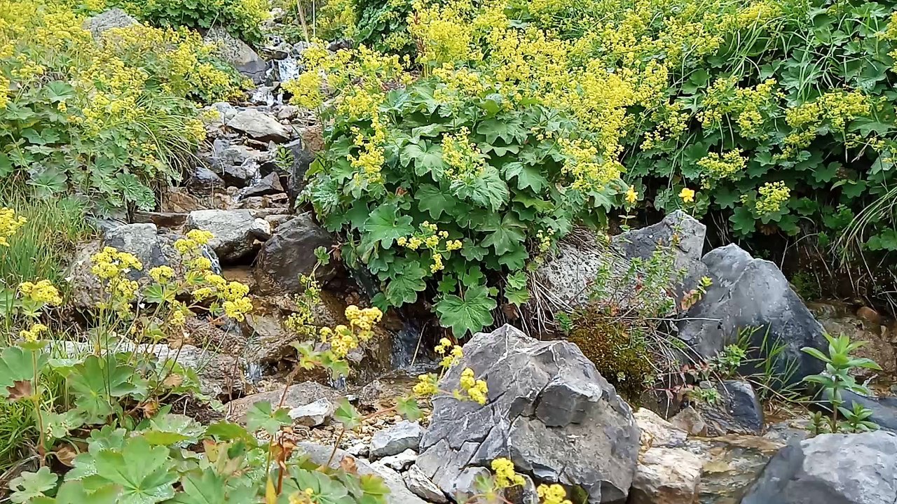 Landscapes from the Plateau 3