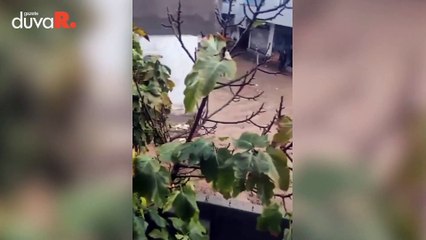 Cizre’de sel: Alt yapı sorunu çözülmüyor