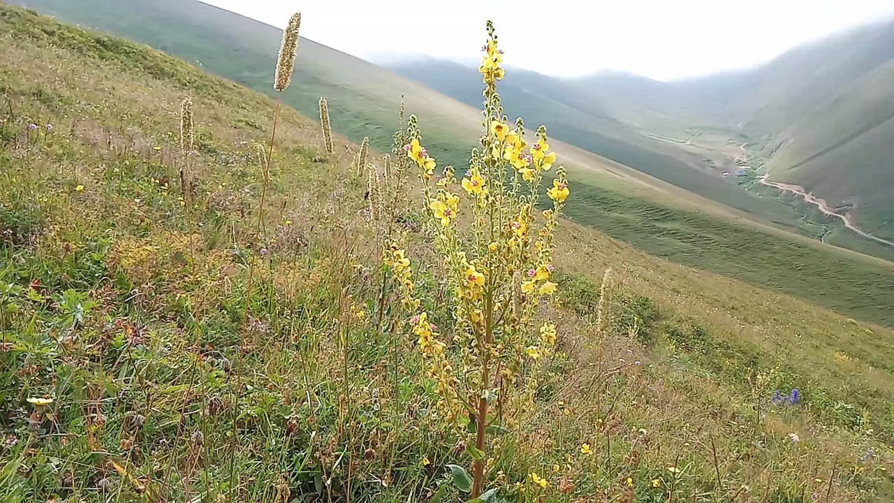 Landscapes from the Highland 10