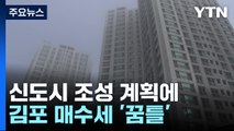 4만 6천 가구 '콤팩트 신도시' 김포...매수세 꿈틀 / YTN