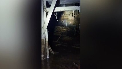 Ischia: resta aggrappato a un'asse di legno, salvato dai vigili del fuoco