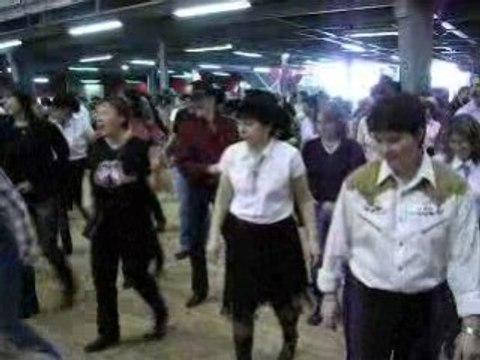 Salon Country Cergy Pontoise 17 02 2008 DSCN8746