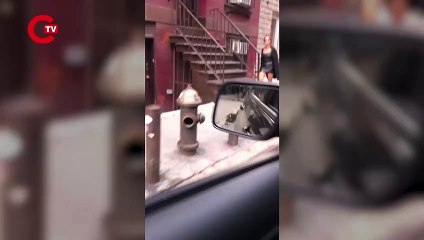 Gibi dizisinin 'Kuki'si gerçek oldu: Tasma takıp gezdirdi