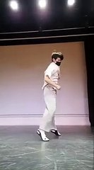 Taekwondo 900 spinning hook kick
