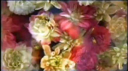 日立 プラズマテレビ woooのCM