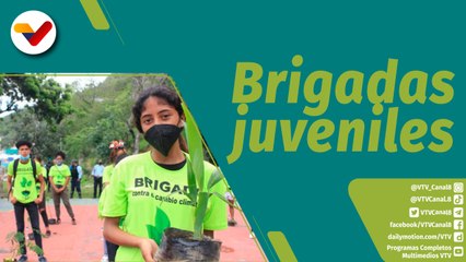 Punto Verde | Brigada juvenil contra el cambio climático