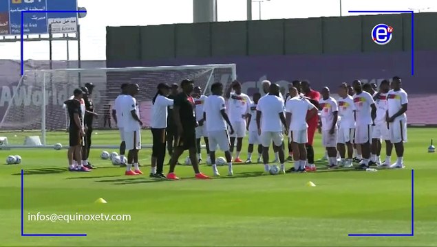 Le vendredi 25 novembre des Lions indomptables au Qatar