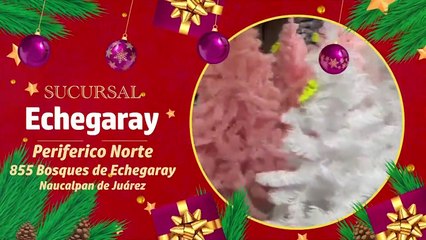 Las Rapiditas - 21 de Noviembre del 2022