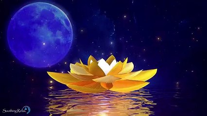 Sommeil Profond et Réparateur  Musique De Sommeil Rapide en Moins De 5 Minutes  Bien Dormir