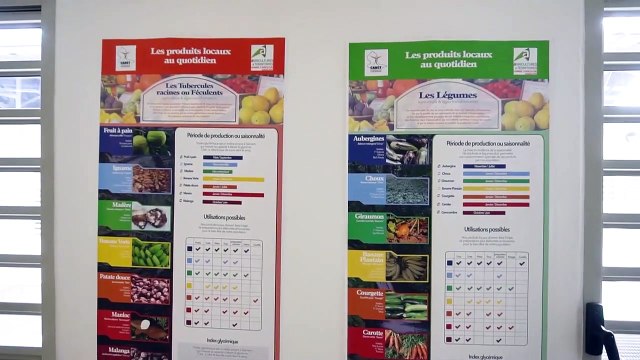 Le TS ESF Technicien supérieur Economie sociale familiale en Guadeloupe 971. Vidéo complète.