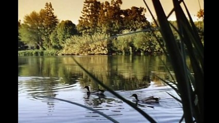 Tragic Tale: The Death of a Cheerleader 💔