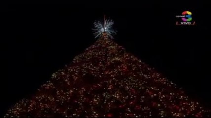 Festival Arbol Gallo 2022 Inauguracion