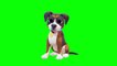 Copyright Free 3D funny Puppy Character Green Screen Effect _ Chroma Key _ Royalty Free _ 3d puppy _