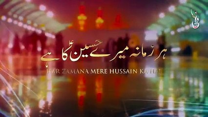 Her Zamana mere Hussain ka hai - Farhan Ali Waris