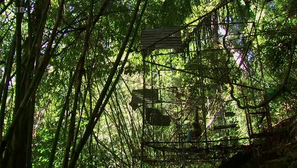 Monkey Planet S01E01 Meet the Family