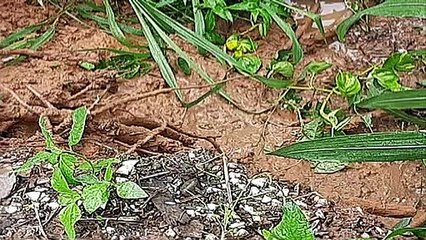 Regional Councillors Actively Monitor and Assist Flooding Relief Efforts 🚨