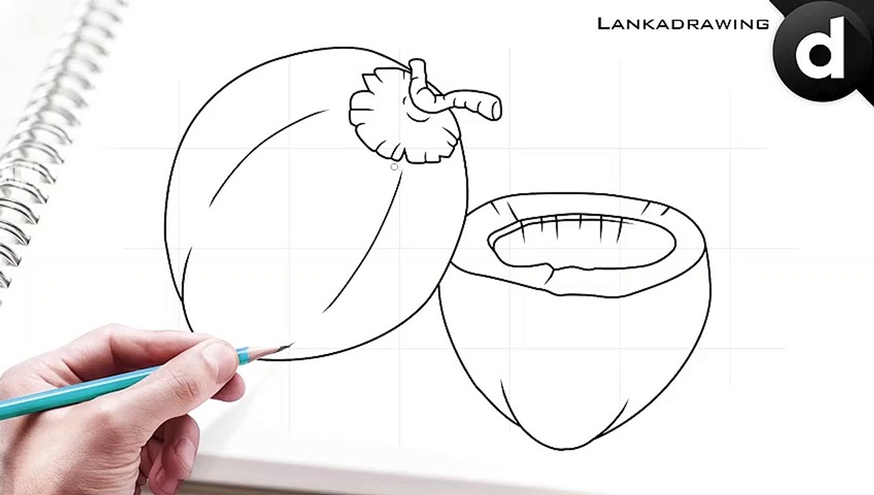how to draw coconuts simple and easy