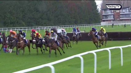 Horses racing | Beautiful and strong horses
