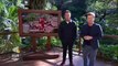 I'm a Celebrity Get Me Out of Here S22 EP 20 - S22 EP 20